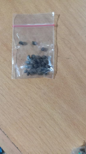 WhatsApp Image 2025 06 12 at 22.15.17 (1).jpg