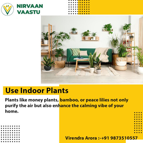 Best Indoor Plants for Positive Energy – Vastu Tips by Virendra Arora.jpg