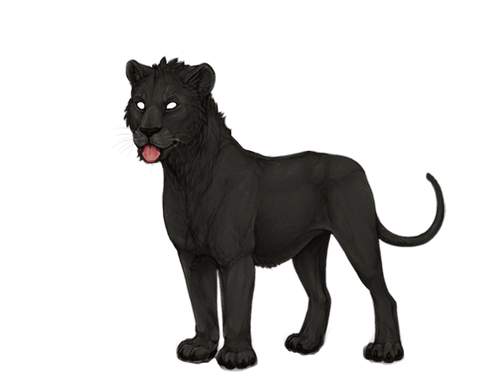 IMG 4300.png