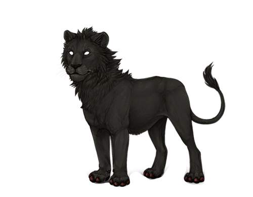 IMG 4314.png