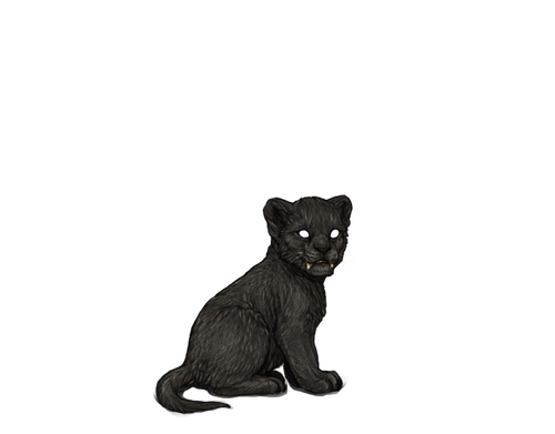 IMG 4286.png