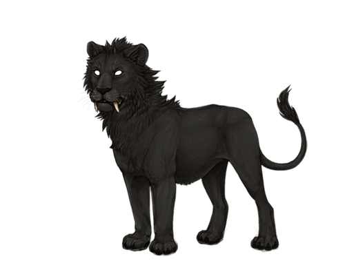 IMG 4284.png