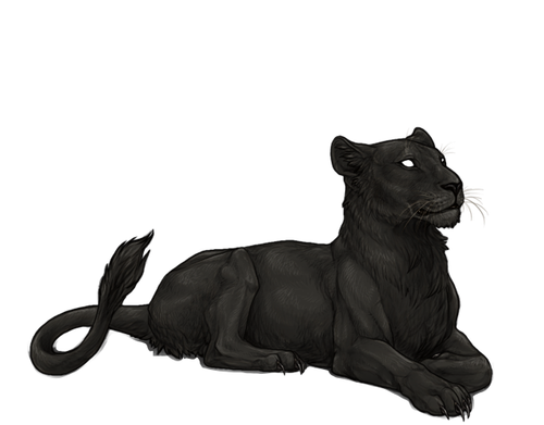 IMG 4322.png
