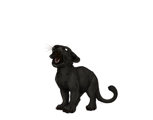IMG 4312.png