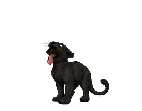 IMG 4298.png