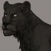 IMG 4279.png