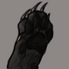 IMG 4329.png