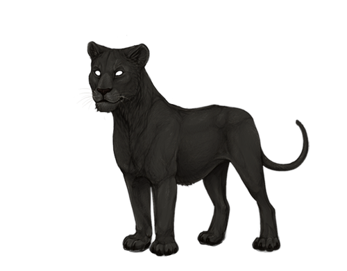 IMG 4277.png