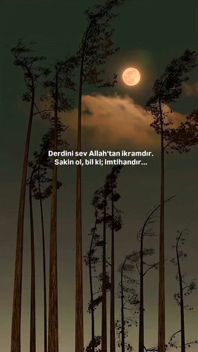46KZU9BpSMS6VsX5.jpg
