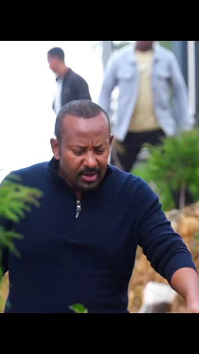 kbF3o10dd Z mEVA.jpg