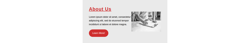 about us section with two columns having image button and description.png