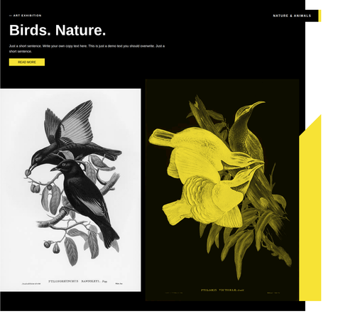 cover section with shapes.png