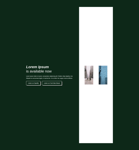 album banner for musician websites.png