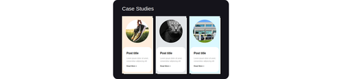 case studies 2.png