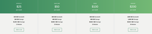 full width pricing plan.png