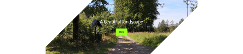 beveled edges with image as cover.png