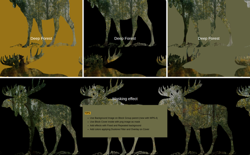 banner with masking effect.png