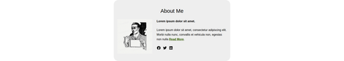 author section.png