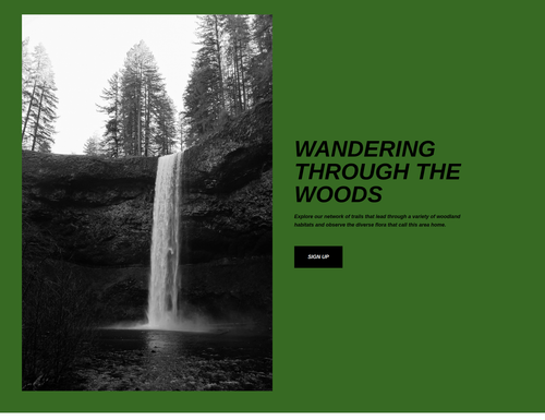 fullscreen image with right content area.png