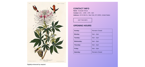contact info with sidebar image.png