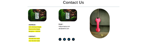 contact us 2.png