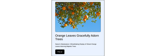 banner image with right content area.png
