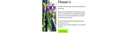 feature image its description and button for more details.png
