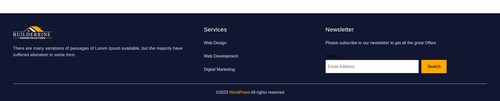 footer with news latter.png