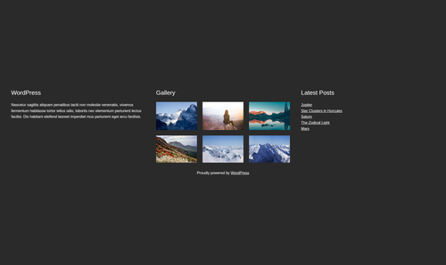 footer with gallery.png