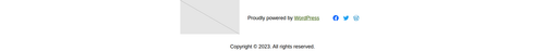 footer with site logo social icons and copyright text.png