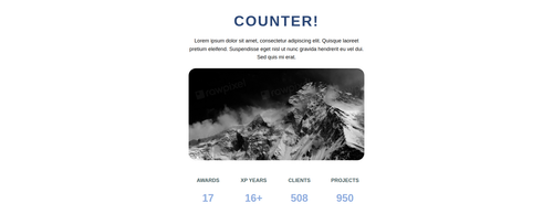 counter section.png