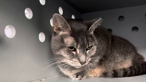 N7Sw8b84PWEj x6i.jpg