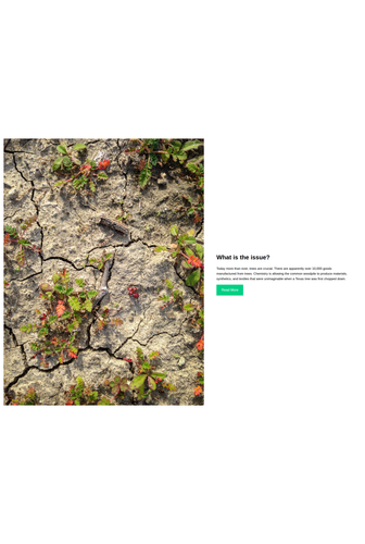 full height container with text and media.png