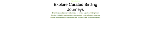featured collections.png