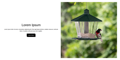 featured section with image.png