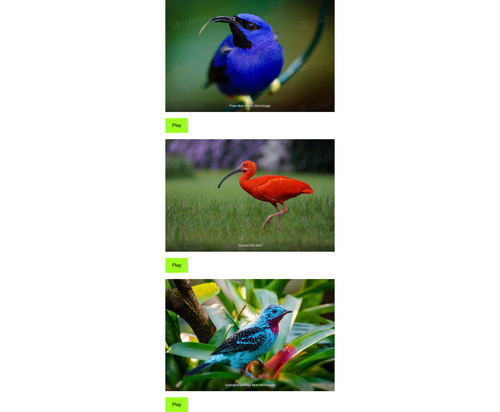 birds sound gallery with their names.png
