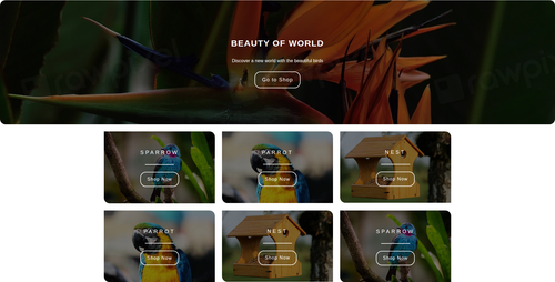 birds theme layout.png