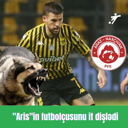 526605998 1157797309715619 4509914579150844113 n.jpg?stp=dst jpg p526x296 tt6& nc cat=104&ccb=1 7& n.jpg