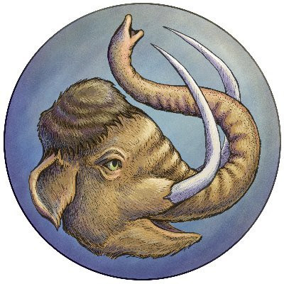 NTsiAq e 400x400.jpg