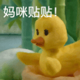 1000020833.gif