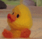 1000020835.gif