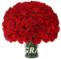 Screenshot 20250602 075721 Google removebg preview.png