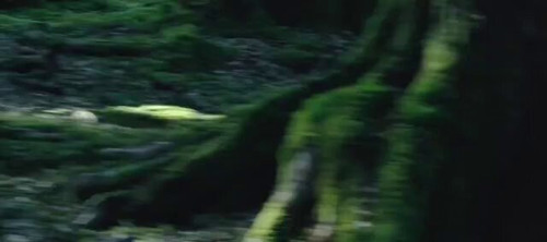 YL DVD0A259n9nz3.jpg