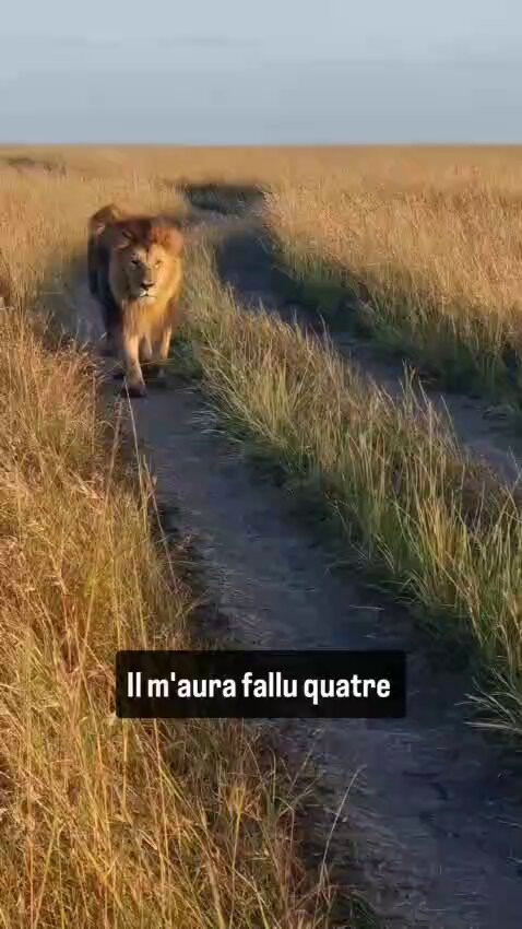 TR ks8LjUqpebg o.jpg