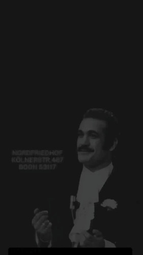 TR87J Wx53kZ6zul.jpg