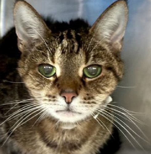 Gu8K8rbW8AA yU?format=png.png