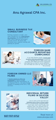 Small Business Tax Consultant.jpg