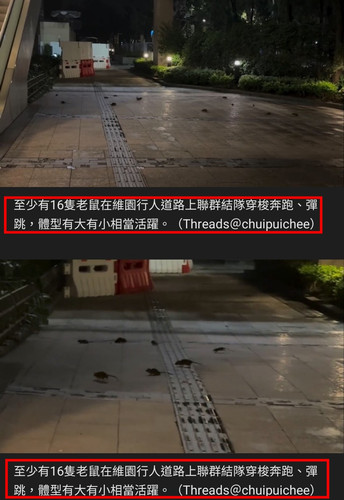 iMarkup 20250801 141450.jpg