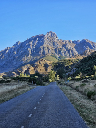 GxKxGHyWQAAYllM.jpg