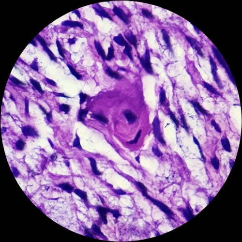 GxNa30jbsAA6Oi .jpg